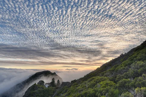 Madeira 1 thumbnail — Madeira